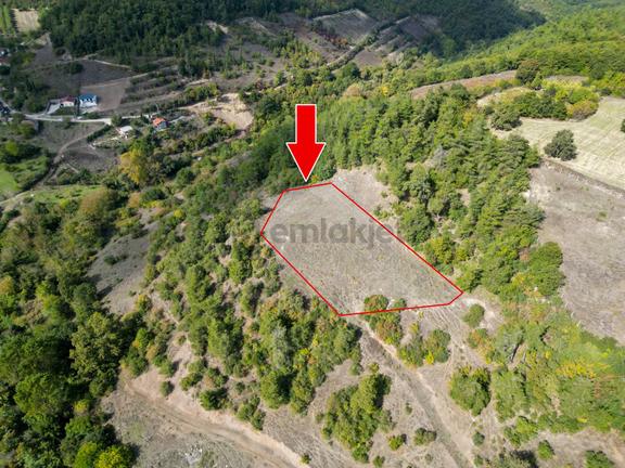 Uzmanlar'dan Karamürsel Çamdibi Satılık 2756 M2 %5 İmarlı Tarla 1