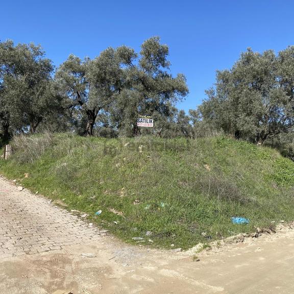 Aydın'nın En Gözde Lokasyonunda Projelik Arazi! 2