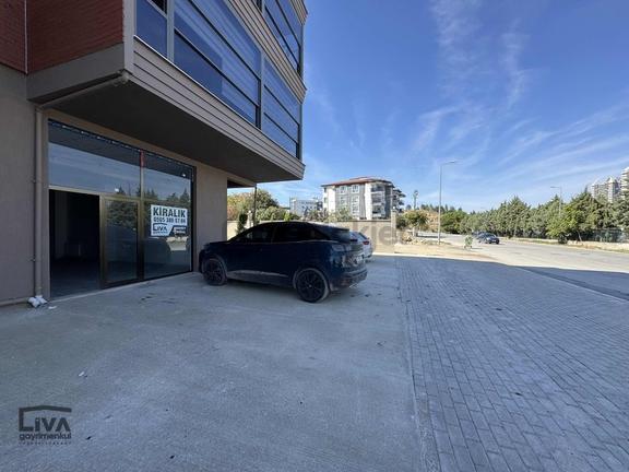Liva Gayrimenkulden Stad Caddesinde Harika Kiralık Dükkan 1
