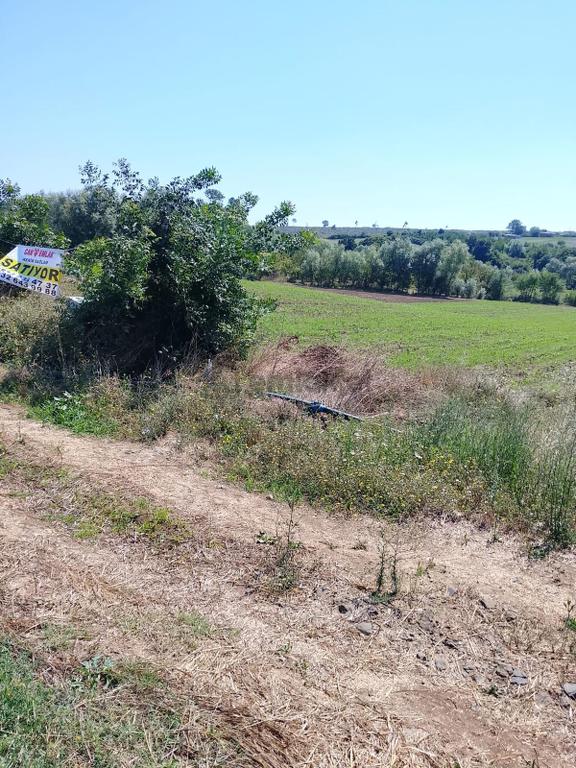 Bafra Lengerlide Yatırımlık Satılık Tarla 1