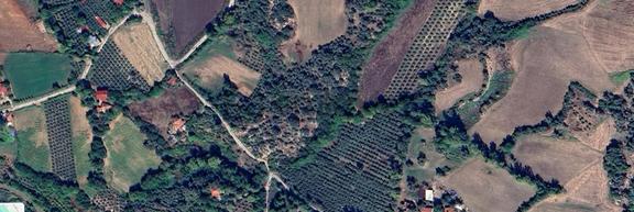 Seydikemer Döğer De 4.572 M² Tarla 1