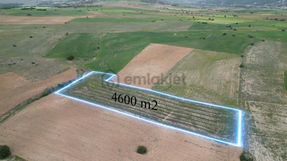 4,6 Dönüm Ekilebilir, Dümdüz Satılık Tarım Arazisi 2