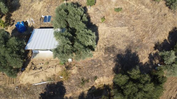 İçinde Evi Olan Tek Tapu 3280 M2 Zetin Ve İncir Bahçesi 2