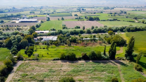 Aydın Efeler Umurluda 5.000 M² Meyve Bahçesi Ve Hobi Bahçesi 2
