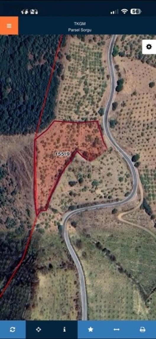 İncirliova Yolu Üzeri 5750 M2 Verimiyüksek Bakmlı İncirlik 1