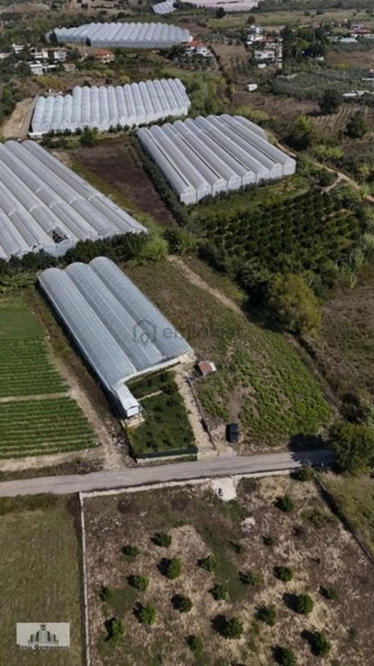 Manavgat Çengerde Satılık Tarla 2