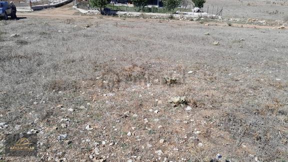 Seydikemer Yayla Ceylan'da 1550 M2 Tarla Açıklamayı Okuyun 1