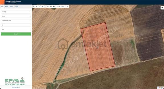 Tekirdağ Muratlı Kırkkepenekli 27.600 M² Satılık Tarla 2