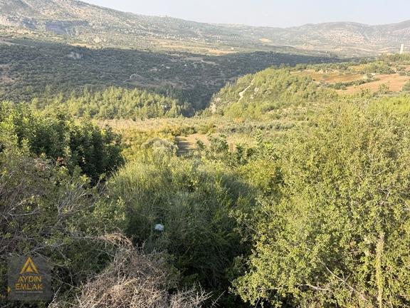 Aydın 'dan Karadirlik Mahallesinde Fırsat Fiyata 7472 M2 Tarla 1