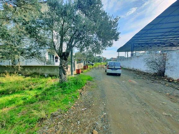 Uytundan Zeytinlide Yola Cepheli %30 İmarlı Satılık Villa Arsası 1