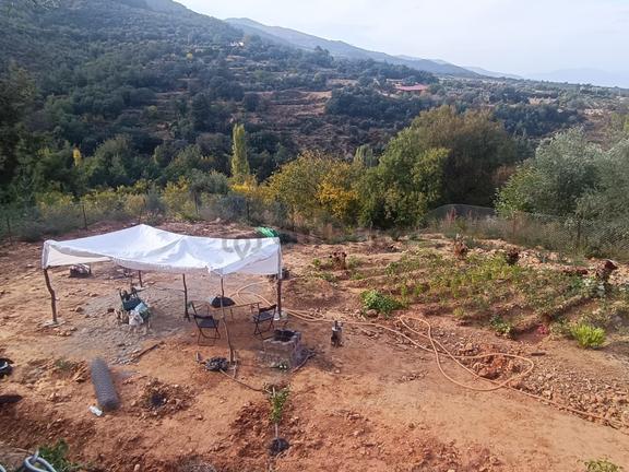 Sahibinden Karacasu Gürlek Yaylası'nda Manzaralı, Meyve Ağaçlı Bahçe 1