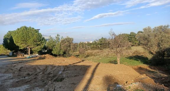 Urla Kalabak'ta Doğa İle İç İçe 247 M2 Satılık Arsa 1