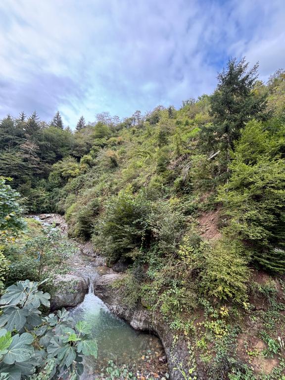 Trabzon Ortahisar Yeşilyurta Satılık Arazi 1
