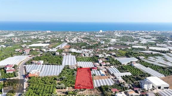 Erdemli Koyuncu 3.040 M2 Müstakil Tapulu Satılık Arsa 1