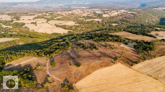 Nokta Emlak'dan Satılık Resmi Yola Cepheli 8.500 M2 Tarla 1