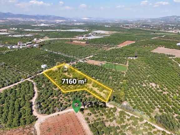 Yaşa Gyd - Bekirdede 7.160 M², Su Ve Elektrik Bulunan Arsa 1