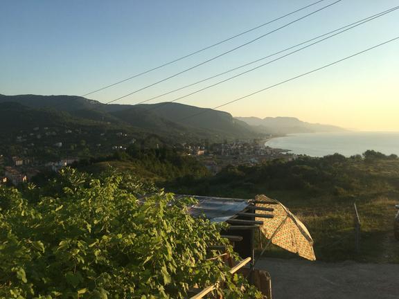Cide Cumhuriyet Mahallesinde Konut İmarlı Muhteşem Manzaralı Arsa 1154 M2 2