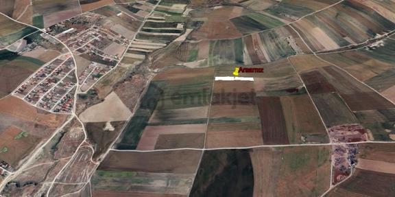 Çubuk Sünlü'de 4.455 M² Tek Tapu | Hobi Bahçesi & Yatırım Fırsat