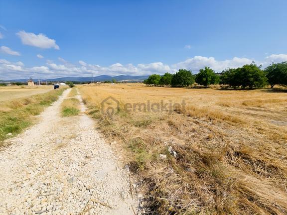 Pınarhisar İslambeyli Mevkinde Yola Cephe Satılık 3.921m2 Tarla 1