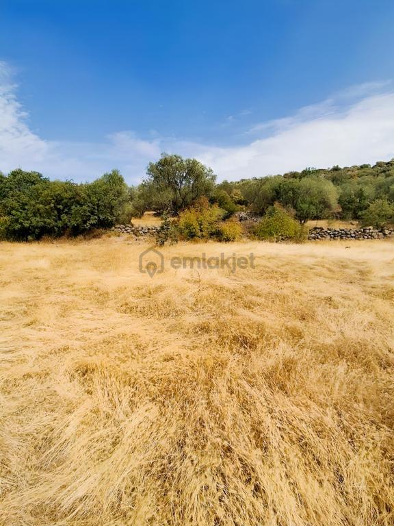Uzun Emlaktan Karakılınçlıda 17.200 M2 Tarla Yolu Var 1