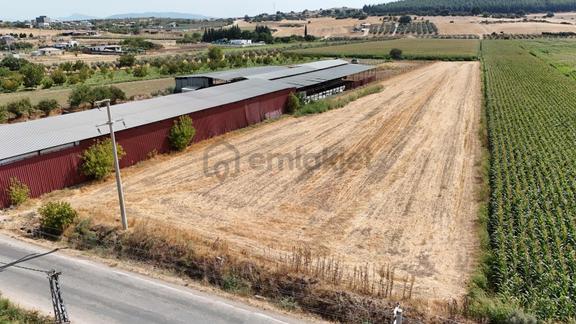 Berk Emlaktan Menderes Oğlananasında Ana Yol Üzeri Satılık Tarla 1