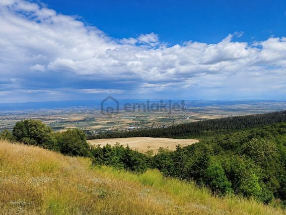 Bursa İznik Gölü Manzaralı Tek Tapu 40.000 M2 Arsa 1