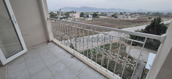 Suluca Tokide Borçsuz Aciil Satılık 1