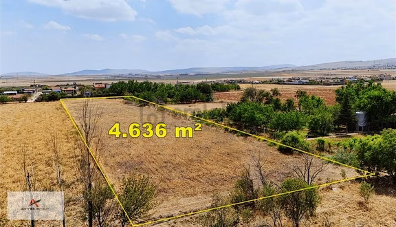 Meram Gödene'de 4.636 M2 Süper Konumda Bahçelik Arazi 1