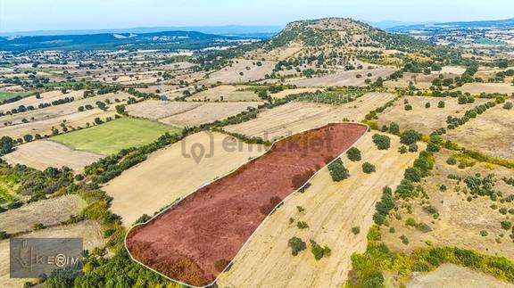 Kerimden Ayvacık Sapanca 12.812 M² Kadastro Yollu Tek Tapu Tarla 1