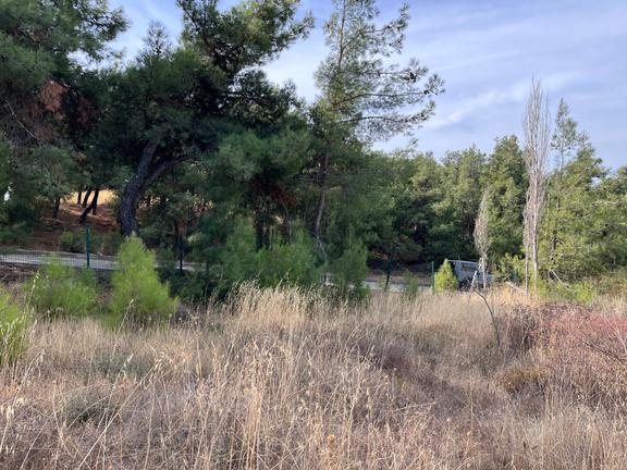 Gökçeada Fatih Mahallesi'nde 2462 M² Deniz Manzaralı Arsa 2
