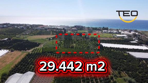 Kemer Kiriş’te Denize 829 Metre, Turizm Bölgesinde 29,44 Dönüm Müstakil Tapulu Tarla 2