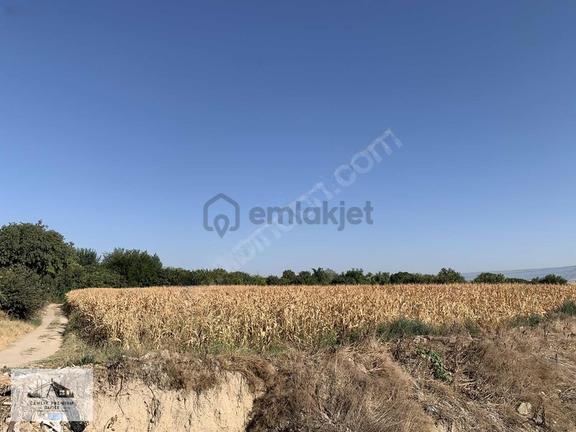 Merkezefendi Eskihisarda Köşe Konumda 5.157 M² Arsa | Yatırımlı 1