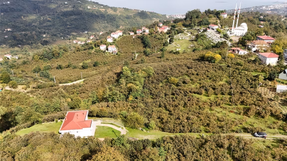 Ordu Perşembe Beylide Deniz Manzaralı 1.500 M² Satılık Arazi 1