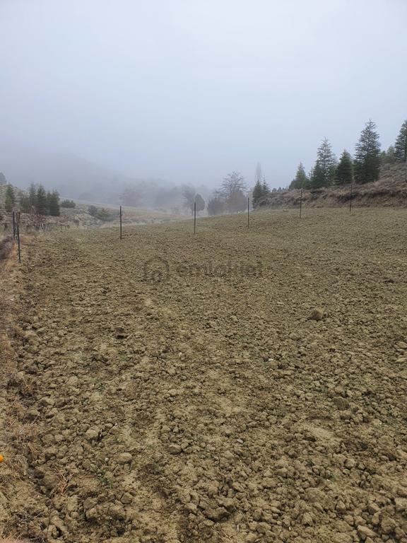 Usta Gayrimenkul'den Acil Satılık Burdur Kemer'de 36.773 M2 2