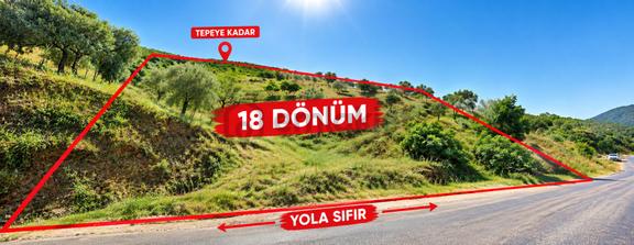 Kızıldere’de Kaçırılmayacak 18 Dönüm Zeytinlik – Yola Sıfır! 1