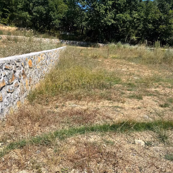 590 Mt Pendik Kurtdoğmuş Da Satılık Hisseli Yatırımlık Tarla 2