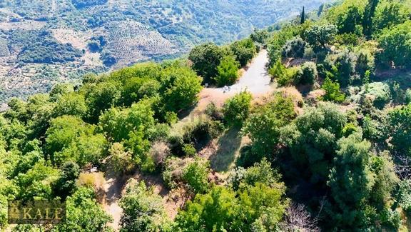 Kale'den Dallık'ta Ana Yol Üstü Manzaralı Bahçe 2