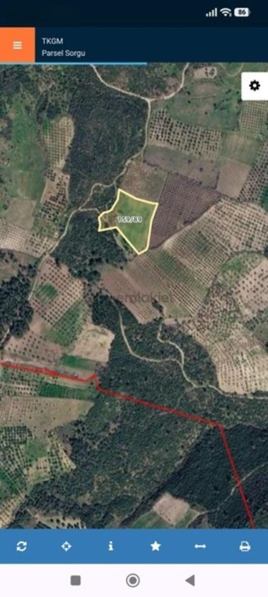 Bergama Koyuneli'nde Satılık Tarla 2