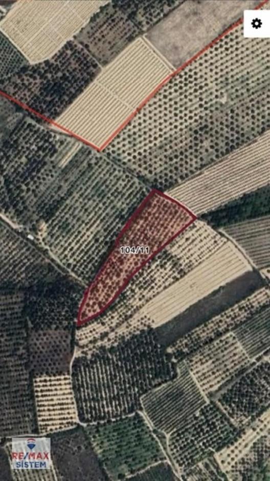 * 8.998 M² Satılık, Yolu Olan, Yatırımlık Kiraz Bahçesi* 2