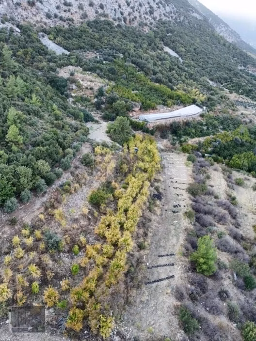 Full Deniz Manzaralı Bir Kısmı İmatlı Finike De Arsa Ve Tarla 2