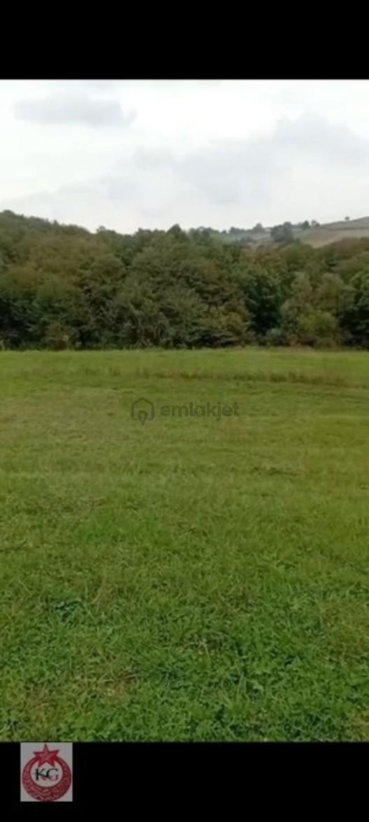 Kandıra Hıdırlar Mah Satılık Tarla 1