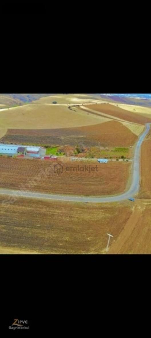 Zırve'den Çardakbağı 1710mere Tarla 2