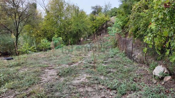 Doğayla İç İçe Aydın Efeler Musluca Mahallesinde Satılık Tarla 2