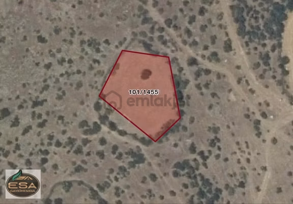 Balıkesir Kepsut Sayacık'da 1229 M2 Satılık Tarla 2