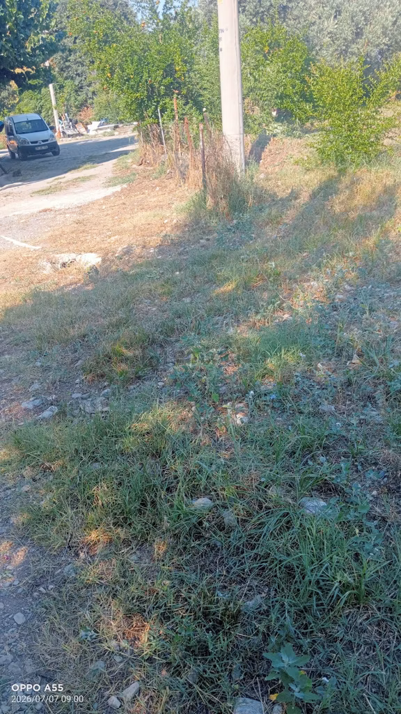 Sahibinden Satılık Aracı Yok Komisyon Yok 2