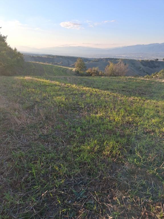 Erbaa Endikpınar’da 19,8 Dönüm – Suyu Bulunan, Yola Ulaşımlı Tarla 2