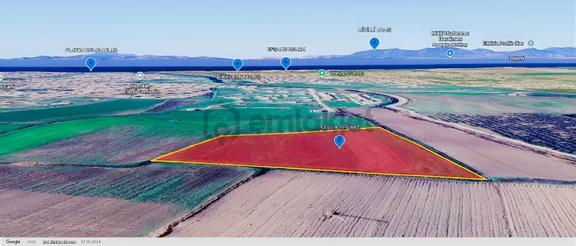 Dikili Salihlerde Satılık 500 M² Tarla Hissesi 1