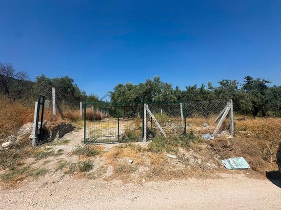Akhisar Süleymanköyde 250 M2 Etrafı Çevrili Hobi Bahçesi 1