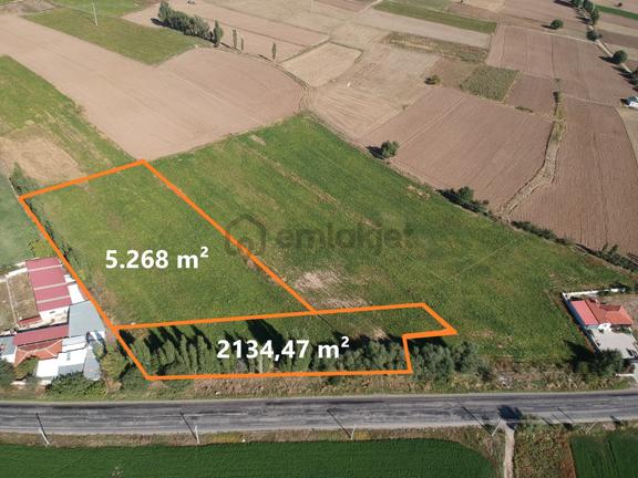 İlbey / Şuhut - Karaadilli Ana Yolunda 7.402 M² Tarla 1