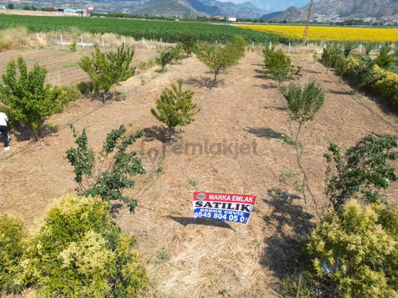 Marka Emlak'tan Suluova Doğakent'te Satılık Hobi Bahçesi 1